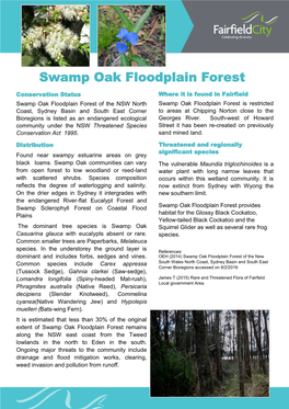 Swamp Oak Floodplain Forest