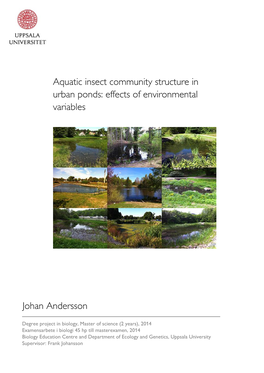Aquatic Insect Community Structure in Urban Ponds: Effects of Environmental Variables