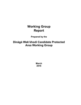 Working Group Report