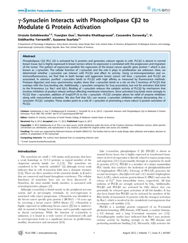 C-Synuclein Interacts with Phospholipase Cb2 to Modulate G Protein Activation