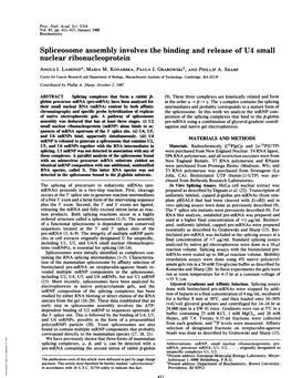 Spliceosome Assembly Involves the Binding and Release of U4 Small Nuclear Ribonucleoprotein