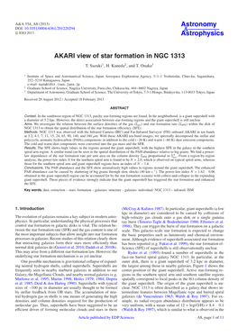 AKARI View of Star Formation in NGC 1313