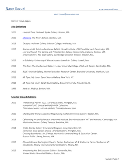 Suzuki. Resume.2008