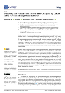 Discovery and Validation of a Novel Step Catalyzed by Osf3h in the Flavonoid Biosynthesis Pathway