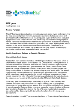 MPZ Gene Myelin Protein Zero