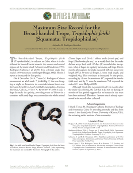 Tropidophis Feicki (Torres López Et Al