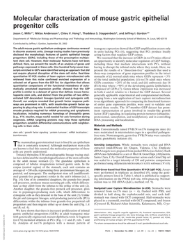 Molecular Characterization of Mouse Gastric Epithelial Progenitor Cells