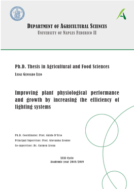 Improving Plant Physiological Performance and Growth by Increasing the Efficiency of Lighting Systems