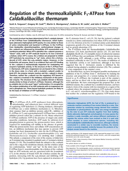 Regulation of the Thermoalkaliphilic F1-Atpase from Caldalkalibacillus Thermarum