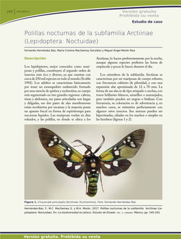 Polillas Nocturnas De La Subfamilia Arctiinae (Lepidoptera: Noctuidae)