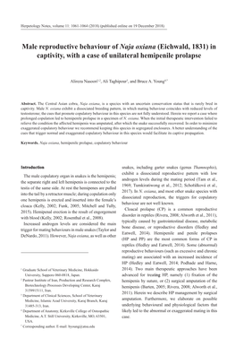 Male Reproductive Behaviour of Naja Oxiana (Eichwald, 1831) in Captivity, with a Case of Unilateral Hemipenile Prolapse