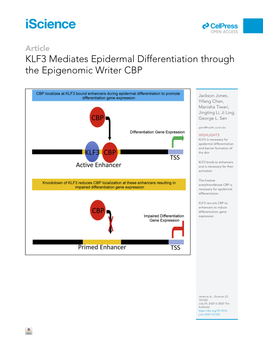 KLF3 Mediates Epidermal Differentiation Through the Epigenomic Writer CBP