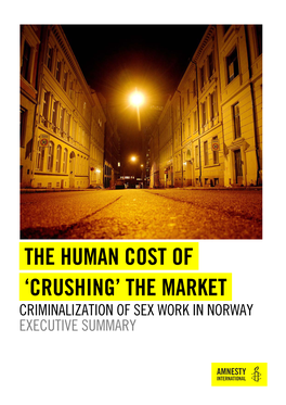 Norway Executive Summary, Amnesty International