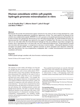 Human Osteoblasts Within Soft Peptide Hydrogels Promote Mineralisation In