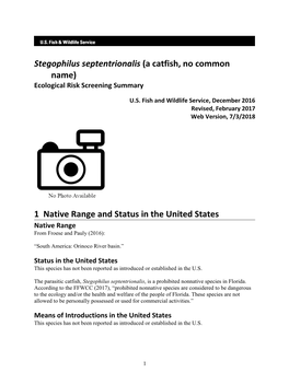 Stegophilus Septentrionalis (A Catfish, No Common Name) Ecological Risk Screening Summary