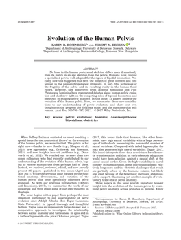 Evolution of the Human Pelvis