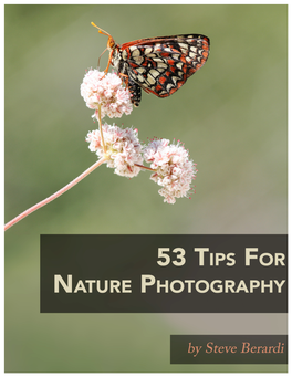 1 53 Tips for Nature Photography by Steve Berardi