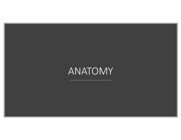 Anatomy Anatomy