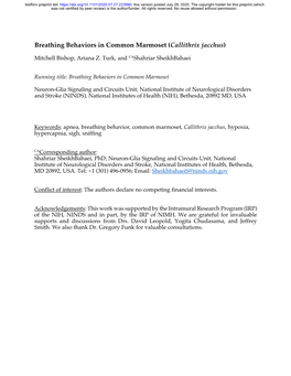 Breathing Behaviors in Common Marmoset (Callithrix Jacchus)