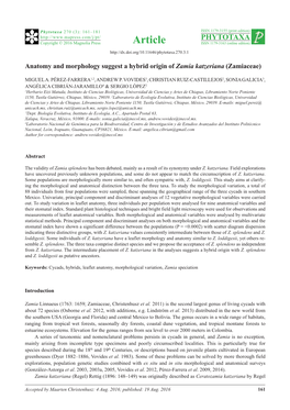 Anatomy and Morphology Suggest a Hybrid Origin of Zamia Katzeriana (Zamiaceae)