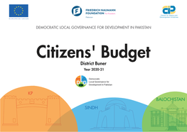 Citizens' Budget-Buner.Cdr