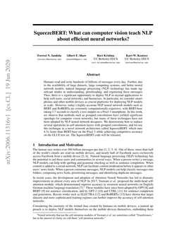 What Can Computer Vision Teach NLP About Efficient Neural Networks?