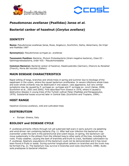 Pseudomonas Avellanae (Psallidas) Janse Et Al