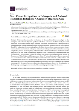 Codon Recognition in Eukaryotic and Archaeal Translation Initiation: a Common Structural Core