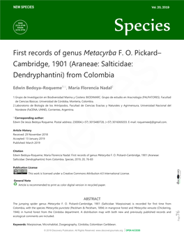 First Records of Genus Metacyrba FO Pickard– Cambridge, 1901