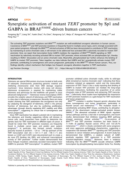 Synergistic Activation of Mutant TERT Promoter by Sp1 and GABPA In