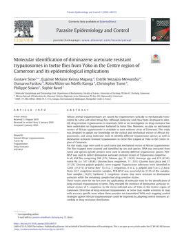 Molecular Identification of Diminazene Aceturate Resistant Trypanosomes in Tsetse Flies from Yoko in the Centre Region of Camero