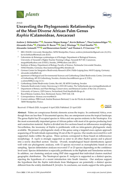 Unraveling the Phylogenomic Relationships of the Most Diverse African Palm Genus Raphia (Calamoideae, Arecaceae)