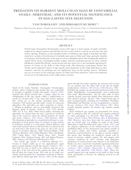 Predation on Hardest Molluscan Eggs by Confamilial Snails (Neritidae) and Its Potential Significance in Egg-Laying Site Selection