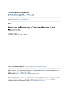 Occurrence and Importance of Maize Dwarf Mosaic Virus in Massachusetts