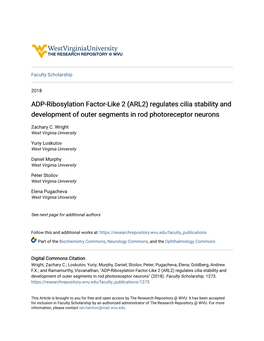 ADP-Ribosylation Factor-Like 2 (ARL2) Regulates Cilia Stability and Development of Outer Segments in Rod Photoreceptor Neurons