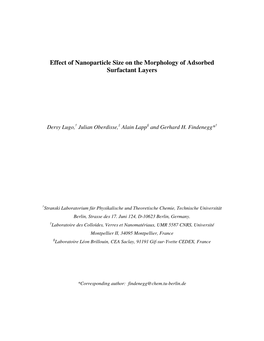 Effect of Nanoparticle Size on the Morphology of Adsorbed Surfactant Layers