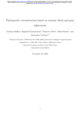 Phylogenetic Reconstruction Based on Synteny Block and Gene Adjacencies