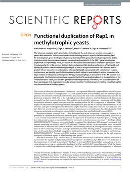 Functional Duplication of Rap1 in Methylotrophic Yeasts Alexander N