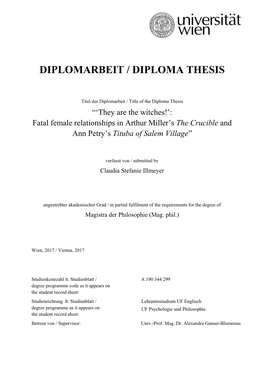 Diplomarbeit / Diploma Thesis