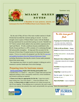 Miami Green Bytes