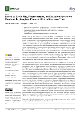 Effects of Patch Size, Fragmentation, and Invasive Species on Plant and Lepidoptera Communities in Southern Texas