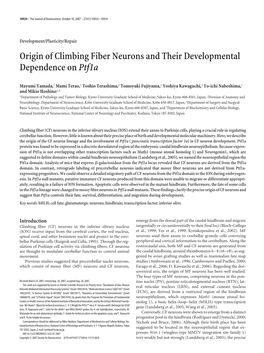 Origin of Climbing Fiber Neurons and Their Developmental Dependence Onptf1a