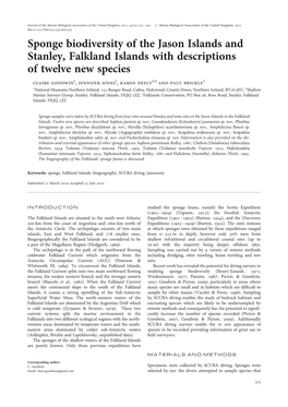 Sponge Biodiversity of the Jason Islands and Stanley, Falkland