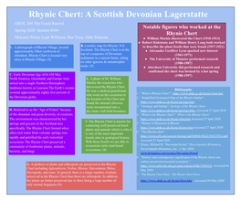 Rhynie Chert: a Scottish Devonian Lagerstatte