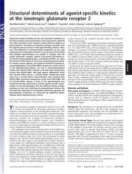 Structural Determinants of Agonist-Specific Kinetics at the Ionotropic Glutamate Receptor 2