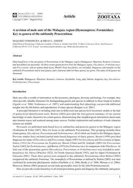 Zootaxa, a Revision of Male Ants of the Malagasy Region (Hymenoptera