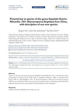 Pictorial Key to Species of the Genus Ropalidia Guérin-Méneville, 1831 (Hymenoptera, Vespidae) from China, with Description of One New Species