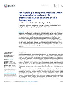 Fgf-Signaling Is Compartmentalized Within the Mesenchyme And