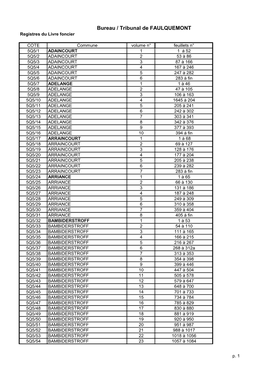 Bureau / Tribunal De FAULQUEMONT Registres Du Livre Foncier