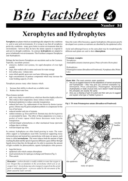 Xerophytes and Hydrophytes